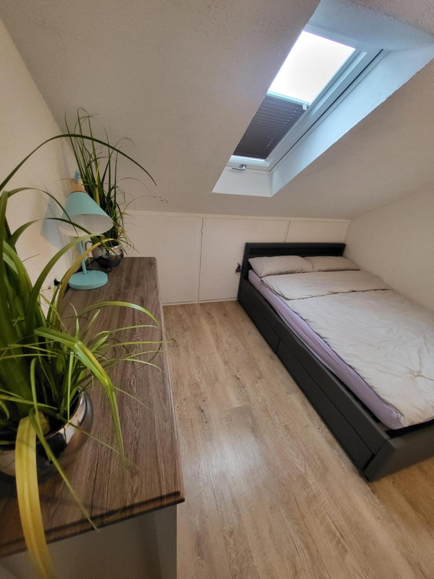 Stern Apartment فير المظهر الخارجي الصورة